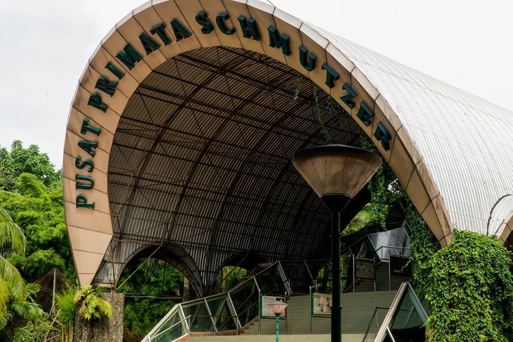 Pusat Primata Schmutzer di Taman Margasatwa Ragunan, Jakarta. Jam buka dan harga tiket masuk Ragunan 2024.