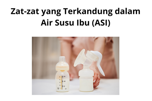 Zat- zat yang Terkandung dalam Air Susu Ibu (ASI)