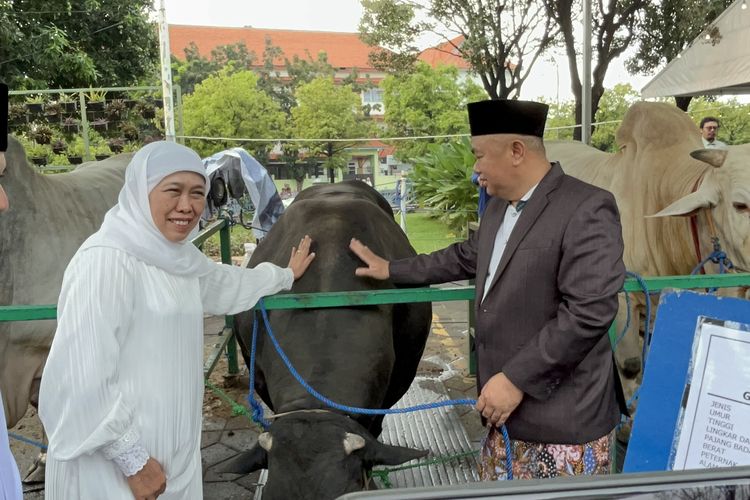 Penjualan Hewan Kurban di Jatim Melonjak 30 Persen, Khofifah Sebut Online Belum Terhitung