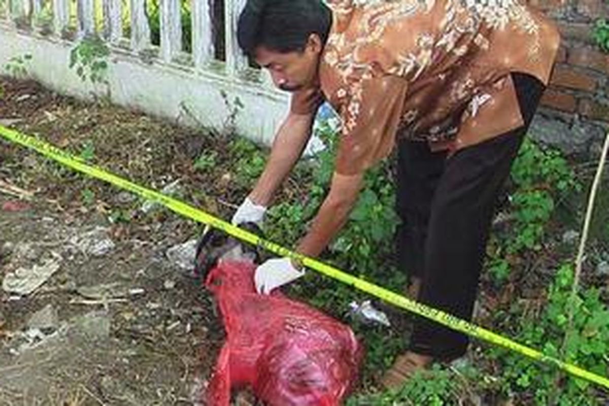 Petugas saat mengevakuasi jasad bayi yang dibuang di pinggir Jalur Pantura, Desa Raci Kecamatan Bangil Kabupaten Pasuruan. 