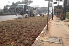 Warga Bingung Ada Area Rumput Pisahkan Halte Bus dengan Jalan Raya di Sudirman