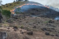 Kondisi Terkini Kebakaran Hutan di Perbukitan Danau Toba, Titik Api Sulit Dijangkau