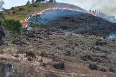 Perbukitan Danau Toba Terbakar, Api Masuki Daerah Destinasi Wisata