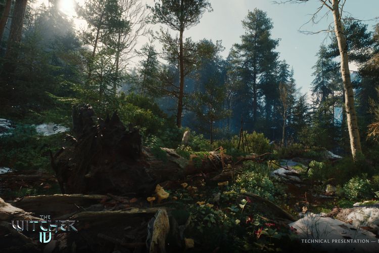 Kualitas lingkungan hutan di The Witcher 4.