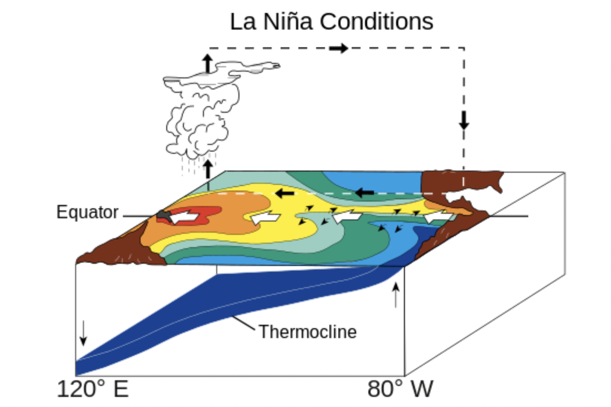 Ilustrasi fenomena La Nina.