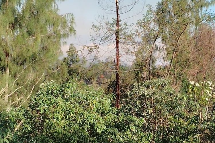 Kebakaran Meluas di Kawah Ijen, Satwa Mulai Terusik dari Habitatnya
