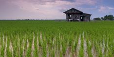 NTP Riau Naik 5,64 Persen Per November 2022, Gubri: Semoga Terus Meningkat