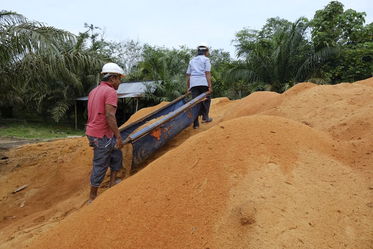 Tekan Emisi, PLN Pakai Limbah Serbuk Kayu Jadi Bahan Bakar PLTU Ombilin