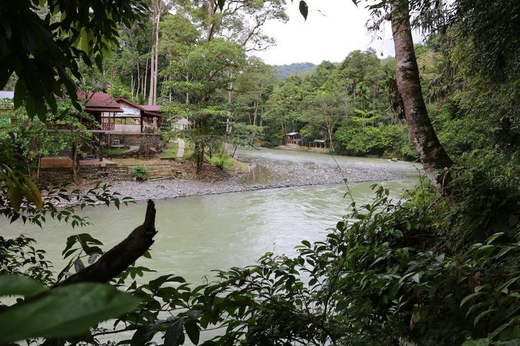 Obyek wisata Batu Katak di Taman Nasional Gunung Leuser, Kabupaten Langkat, Sumatera Utara (dok. https://gunungleuser.or.id/).