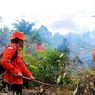 3 Bulan, Karhutla di Rokan Hulu Capai 303,5 Hektar