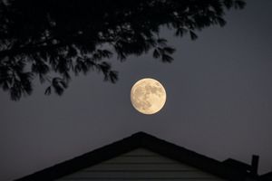 Fenomena Hunter’s Moon Muncul Malam Ini, Bisa Dilihat dari Jakarta