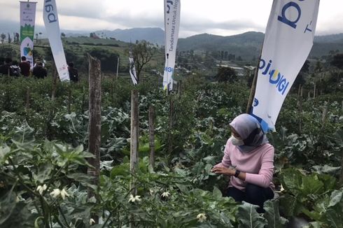 31 Persen Maba Tertarik Entrepreneur, IPB Sediakan Lahan Bertani