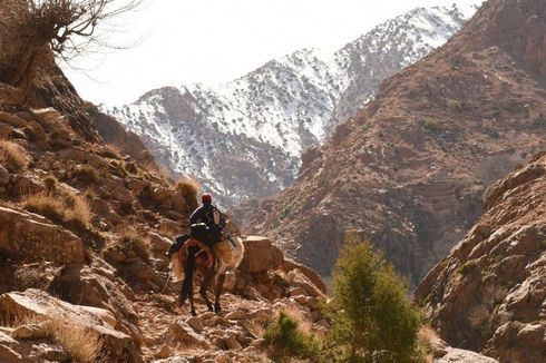 2 Perempuan Turis Tewas dengan Luka pada Leher di Pegunungan Atlas