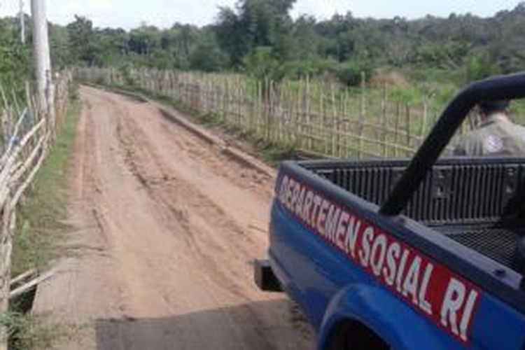 Sawah warga yang ditanami dengan kelapa sawit akibat padi tak lagi menghasilkan gabah berkualitas akibat lumpur batubara yang banyak mengendap di sungai