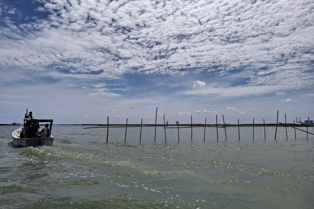 Kapan Pagar Laut di Tangerang Akan Dibongkar? Ini Penjelasan KKP