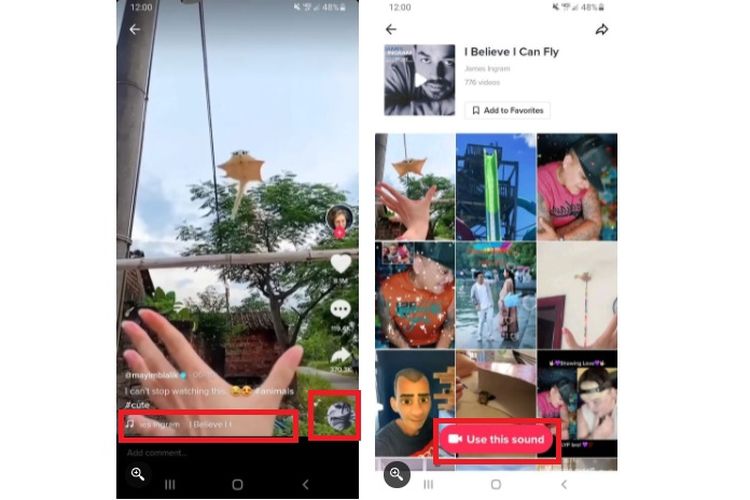 Cara menggunakan lagu TikTok orang lain untuk backsound