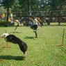 HUT Ke-78 RI, Royal Safari Garden di Bogor Gelar Lomba Unik Balap Lari Bareng Anjing dan Kakaktua 