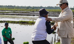 Prabowo Hapus Utang UMKM, Petani, dan Nelayan, Ini Kriteria Penerima