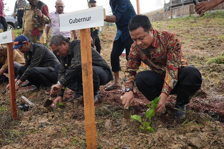 Guna mengembalikan kejayaan komoditas sutera Wajo, Gubernur Sulawesi Selatan (Sulsel) Andi Sudirman Sulaiman tanam 1 juta bibit murbei di Kabupaten Wajo, Kamis (4/5/2023). 