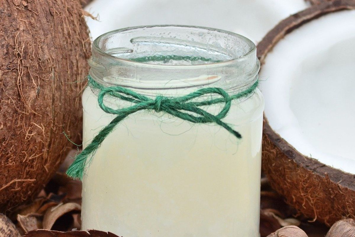 Ilustrasi kelapa, air kelapa. 