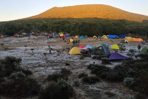 Fenomena Kristal Es seperti Salju Kembali Muncul di Gunung Gede