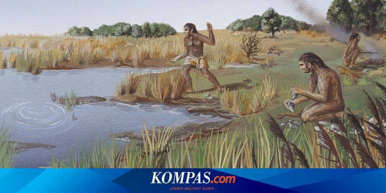 Sebuah Kisah Dari Homo Erectus Nenek Moyang Kita Yang Misterius Halaman All Kompas Com
