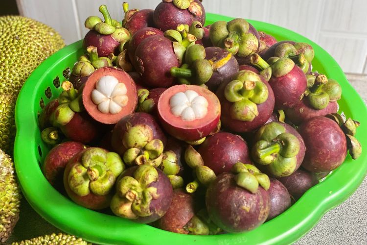 Ilustrasi buah manggis.