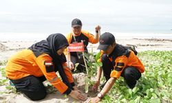 DMC Dompet Dhuafa dan Sejumlah Pihak Tanam 2.050 Pohon Mangrove di Pantai Soge dan Teban
