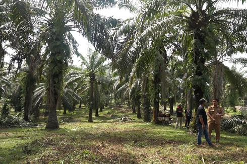 Pemberdayaan Ekonomi Masyarakat Jadi Kunci Keberhasilan Desa Kota Bani