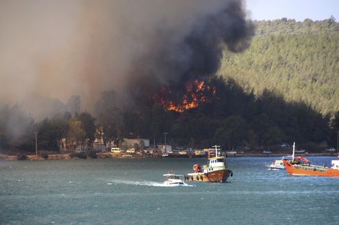 Kebakaran Hutan Melanda Turki, Orang-orang Melarikan Diri dari Rumah