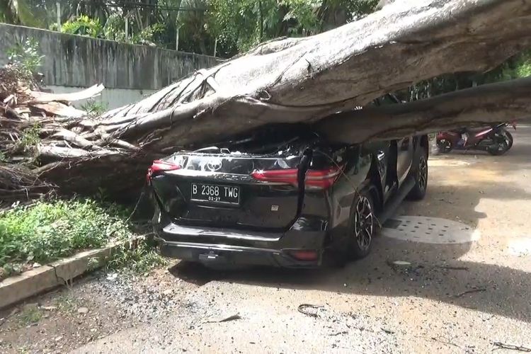 Penampakan Toyota Fortuner yang tertimpa pohon di depan rumah capres nomor urut 2 Prabowo Subianto, kawasan Kebayoran Baru, Jakarta Selatan, Selasa (16/1/2024).