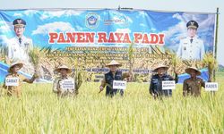 Panen Padi Triwulan I-2024 di Lamongan Berhasil, Rata-rata 7,34 Ton Per Hektar