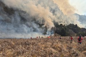 Kebakaran Bromo Nyaris 900 Hektare, Lembah Watangan Paling Terdampak