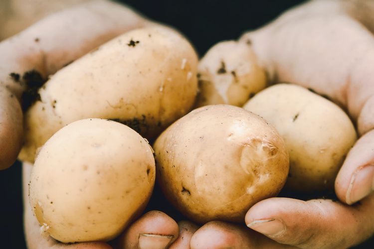Agar tak kebanyakan sodium ketika membumbui, pilih kentang goreng yang terbuat dari kentang manis yang memiliki kandungan gula alami.
