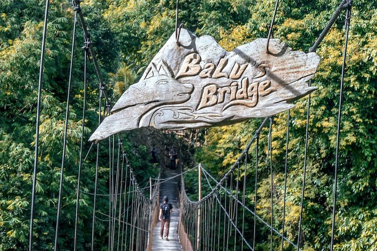 Jembatan gantung yang jadi salah satu ikon wisata di Tangkahan.