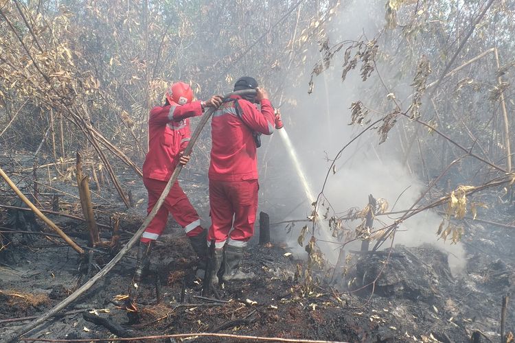Petugas Manggala Agni Pekanbaru berjibaku memadamkan api karhutla yang diduga lahan milik anggota dewan di Desa Tarai Bangun, Kecamatan Tambang, Riau, Selasa (29/8/2023).