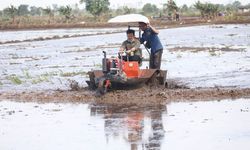 Jaga Harga Gabah, Kementan Ingin Petani Nikmati Keuntungan Produksi