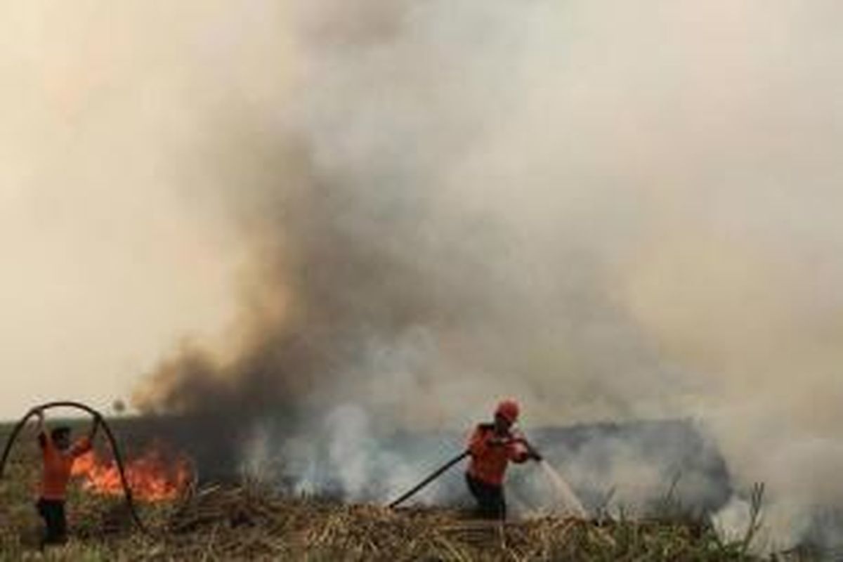 Petugas berupaya memadamkan kebakaran hutan di Ogan Ilir, Sumatera Selatan, 5 September 2015. Kabut asap kebakaran hutan dan lahan mulai menyebar ke negara tetanga di Asia  Tenggara.