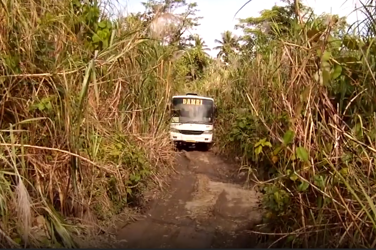 Bus DAMRI yang sedang menerobos perkebunan warga di daerah pedalaman Papua