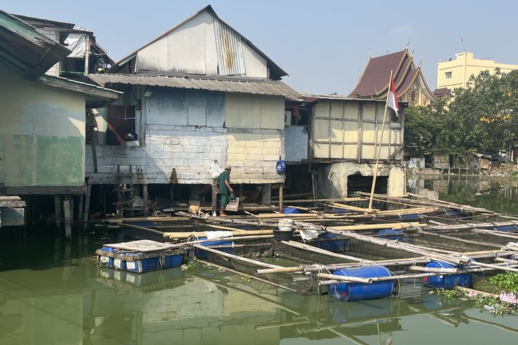 Bertahan di Tengah Banjir Kampung Apung Jakbar: Para-para Jadi Penyelamat, Ular Jadi Ancaman