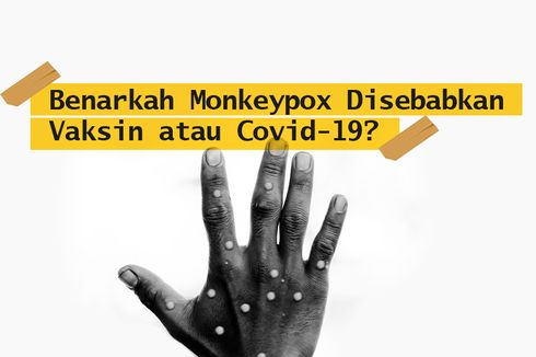 INFOGRAFIK: Benarkah Monkeypox Disebabkan Vaksin dan Terkait Covid-19?
