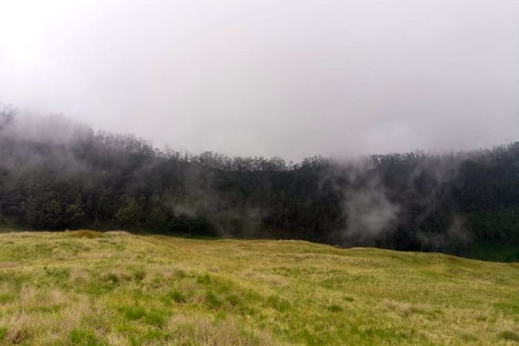 Hamparan savana di Bukit Pangonan 