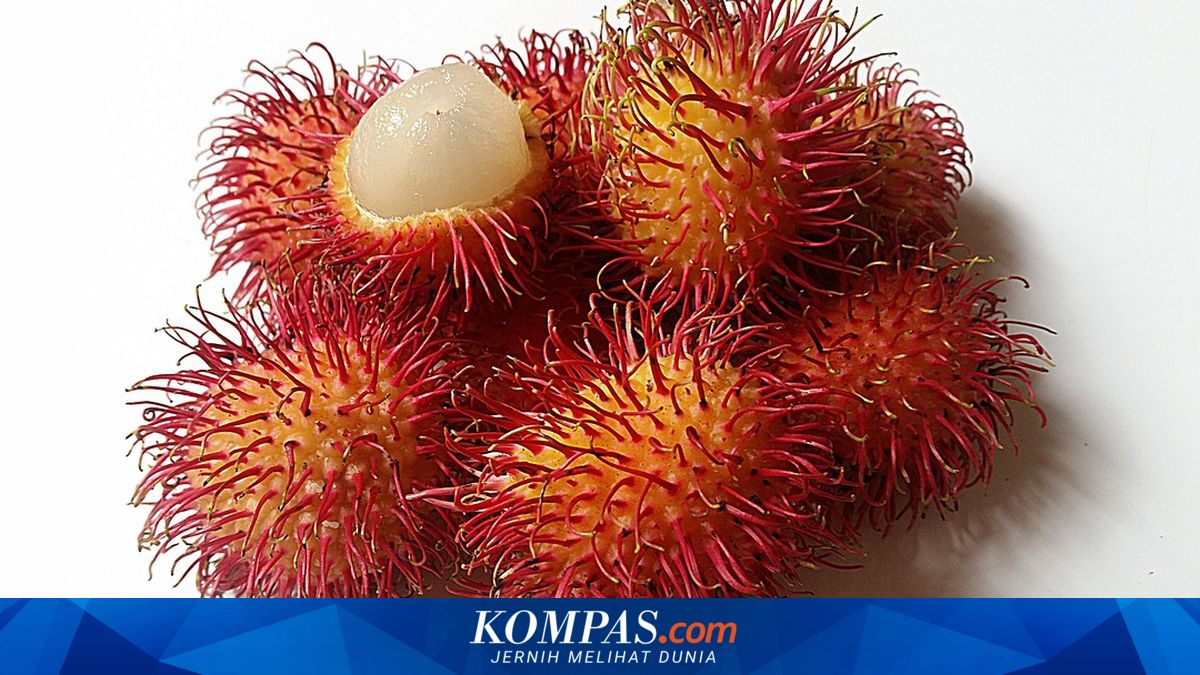 Apakah Rambutan Baik untuk Kesehatan? Berikut Penjelasannya…