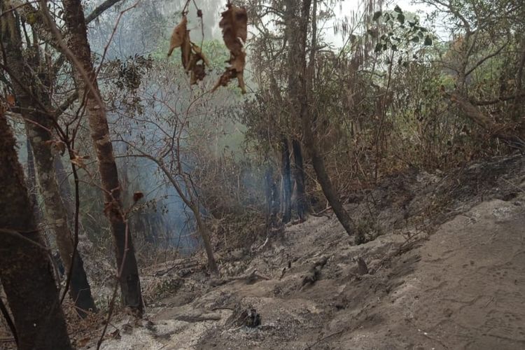 Kebakaran di Puncak Gunung Raung Banyuwangi, Jalur Pendakian Ditutup