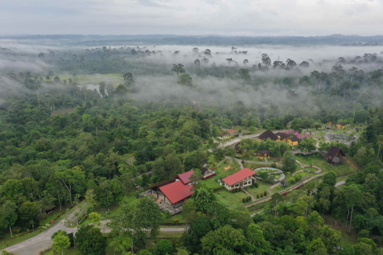 Kebun Raya Balikpapan di Balikpapan, Kalimantan Timur. Wisata alam ini antara laian menyimpan bunga bangkai Suwek, anggrek hitam, dan pohon Ulin khas Kalimantan. 