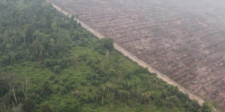 Pembukaan hutan gambut yang berbatasan dengan perkebunan kelapa sawit di Kabupaten Kubu Raya, Kalimantan Barat, Minggu (20/9/2015). Kebakaran terpantau melalui patroli udara Badan Nasional Penanggulangan Bencana.