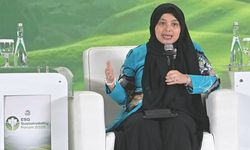 PLN Resmi Terlibat dalam Perdagangan Karbon Luar Negeri untuk Dukung Mitigasi Perubahan Iklim