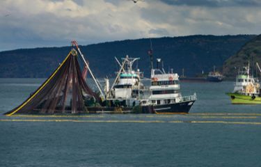 Kapal pukat cincin (purse seine)