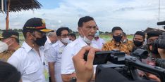 Soal Pengembangan Food Estate, Luhut Tekankan Pentingnya Sinergi dan Kolaborasi