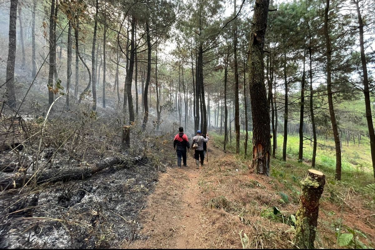 Kebakaran hutan Gunung Lawu sampai di kawasan puncak Gunung Lawu. Petugas gabungan dari BPBD Kabupaten Magetan, Kabupaten Madiun, dan BPBD Provinsi Jawa Timur, TNI dan Polri membuka pos di Desa Ngrayudan.